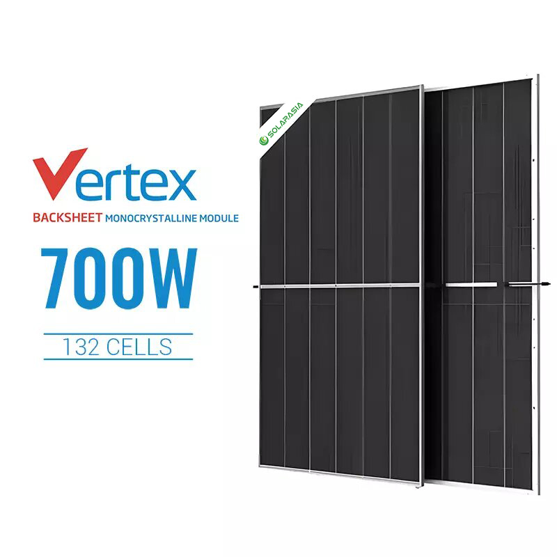 700W High-Power Trina Bifacial Solar Panel